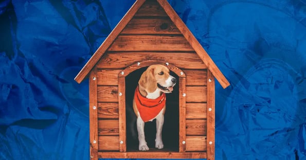 Beagle dog house size sales